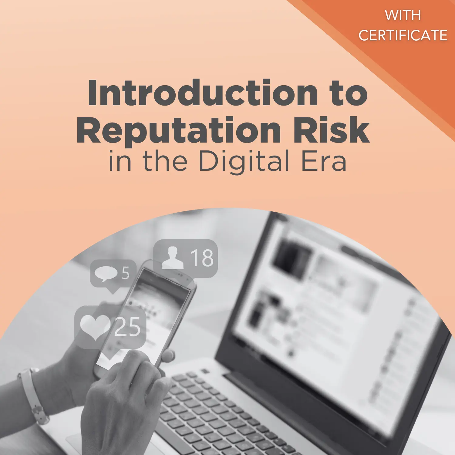 Introduction to Reputation Risk in the Digital Era