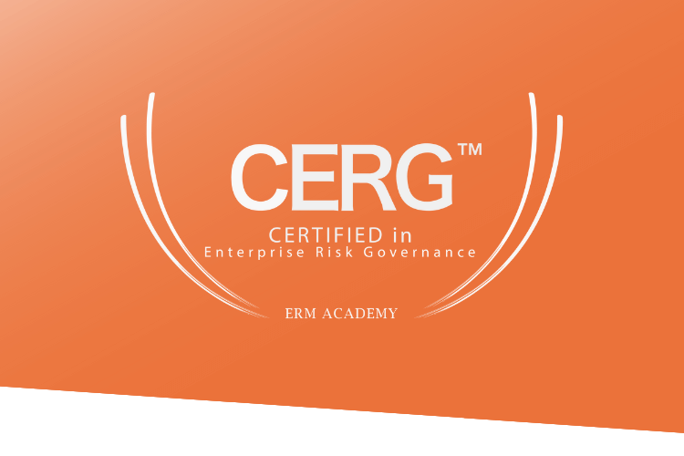 Certified in Enterprise Risk Governance (CERG)